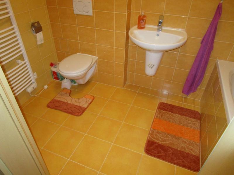 Apartman Ricky V Orlickych Horach Pustiny Exterior photo