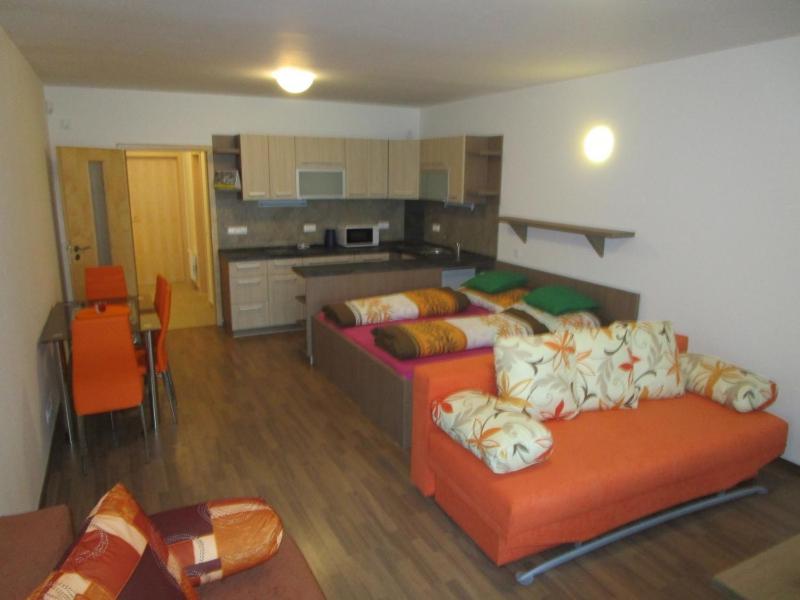 Apartman Ricky V Orlickych Horach Pustiny Exterior photo