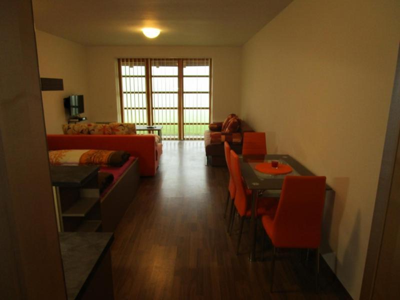 Apartman Ricky V Orlickych Horach Pustiny Exterior photo