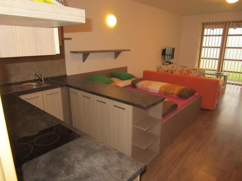Apartman Ricky V Orlickych Horach Pustiny Exterior photo